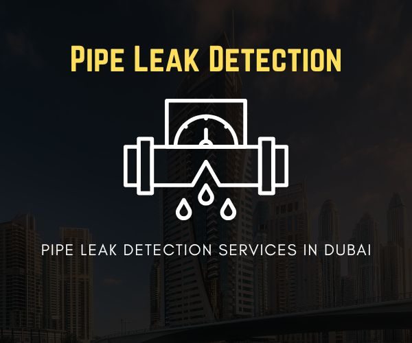 Professional pipe leak detection services in Dubai using advanced tools for accurate leak spotting