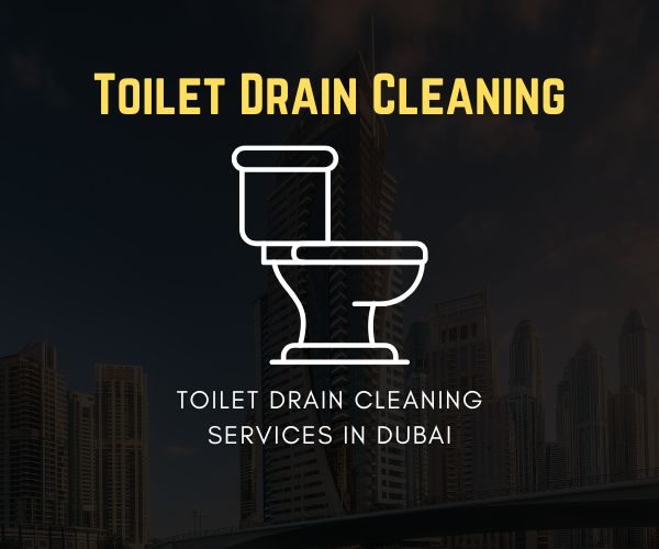 Expert toilet drain cleaning services in Dubai to remove clogs and prevent backups